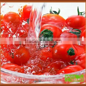 425g Canned Fresh Tomato Sauce 28-30% of Competive Price thumbnail-1