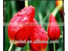 p3 Smd Led Display Indoor/ P3led Display Modules/ Video Indoor Smd Led Billboard p3 Advertising thumbnail-2