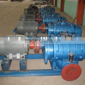 Roots Vacuum Blower thumbnail-1