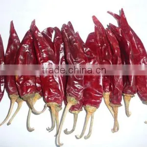 American Red Chilli New Crop Export Hot With or Without Stem thumbnail-1