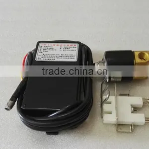 Factory Direct Sale Black Module 220VAC Gas Electrode Spark Plug Ceramic Igniter Spark Igniter thumbnail-1
