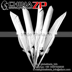 CHINAZP Plumage Supplier Bulk Natural Bleached White Turkey Pointers Quill Large Feathers for Sale thumbnail-1