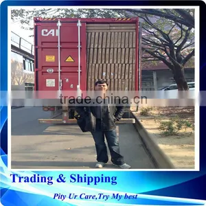 Shenzhen/Foshan/Guangzhou Storage Warehouse Service thumbnail-1