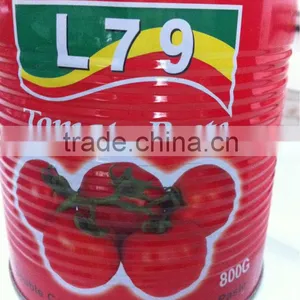 China Tomato Paste Ketchup Factory 800g Double Concentrated Canned L79 Alavie thumbnail-1