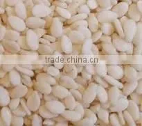Hulled Sesame Seeds thumbnail-1