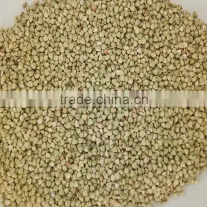 High Quality Raw Buckwheat Kernel thumbnail-2