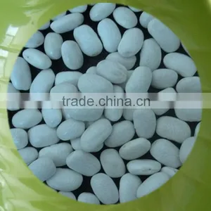Medium White Kidney Beans 2013 thumbnail-1