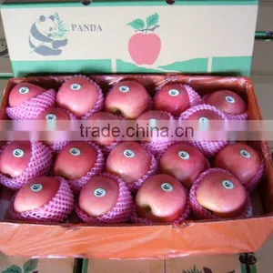 Fruit Names thumbnail-1