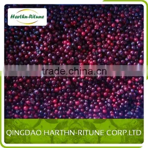Frozen Lingonberry thumbnail-4
