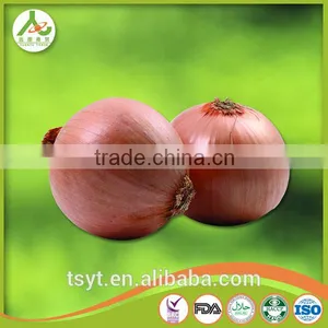 Fresh Red Onion From China thumbnail-3