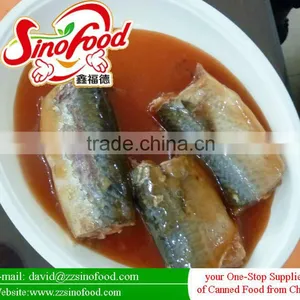 Canned Mackerel in Vegetable Oil thumbnail-1