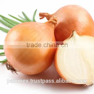Fresh Onion thumbnail-3