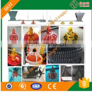 Best Selling Products in Philippines Automatic Chicken Feeding Equipment/Lubing Nipple Cup Drinker/Tunnel Ventilation Fan thumbnail-2