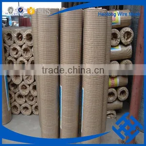 Factory Price 1/4 Inch Galvanized Welded Wire Mesh thumbnail-5