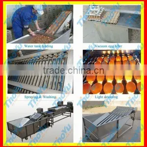Egg Breaking and Seperating Machine 8000pcs/h on Bakery Exhibition +86-133-3371-9169 thumbnail-1