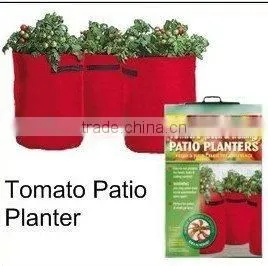 PE Tomato Planter in Low Price thumbnail-1