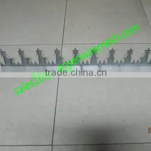 Security Wall Spike thumbnail-3