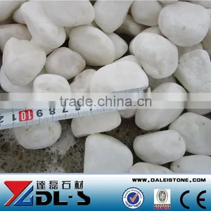Natural River Stone White Round Pebble Stone 2-4cm thumbnail-1
