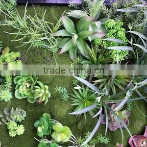 Grass Wall Manufacturer Packing System Modular Green Wall thumbnail-3