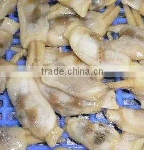Besr Sea Razor Clam Meat thumbnail-1