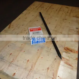 Factory Price of Square Nail Stakes/Round Nail Stakes on Sale thumbnail-1