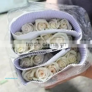Rose Flower Seeds Roses Flowers Fresh Roses thumbnail-6