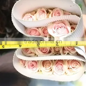 Color Wholesale Fresh Cut Flowers High Grade Cut Fresh Pink Avalache Roses Flowers Climbing Roses thumbnail-1