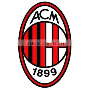 Custom Sport Heat Transfer Sticker/Iron-on Sticker for Jerseys by Heat Transfer Machine thumbnail-2