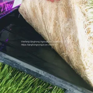 Container Type Hydroponic System Seed Germination Machine Hydroponic Forage Forage Planting System thumbnail-1
