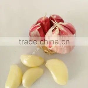 5.0cm Fresh Normal White Garlic for Sale thumbnail-2