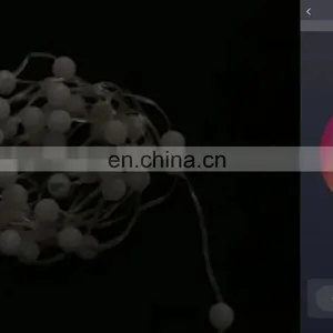 Tuya Intelligent Smart Wifi Globe String Light Factory thumbnail-1