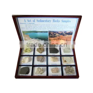 A Set of Sedimentary Rocks Samples Specimen thumbnail-1