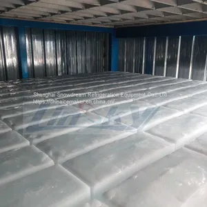 Ice Block Compressor 30Ton High Production Block Ice Machine thumbnail-4