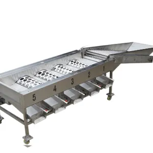 1000 kg per Hour Fruit & Vegetable Sorting Machine thumbnail-3