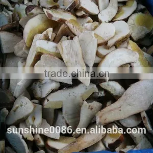 White Boletus Edulis Mushroom thumbnail-5
