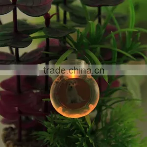 Mixed Wholesale 6 Styles 5 Colors Led Light Pet Pendant Dog Tag Pendant thumbnail-2