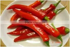Fresh Big Red Chilli/ Vietnam Red Chili thumbnail-1