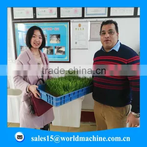 Export to Saudi Arabia Hydroponic Animal Fodder Controller for Growing Fodder Grass,barley,wheat,and All Kinds Vegetables thumbnail-5