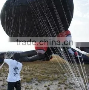 60m Octopus Kite thumbnail-4