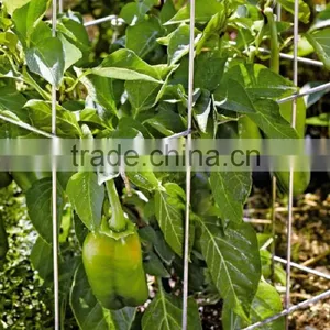 Tomato Cages Plant Support thumbnail-2
