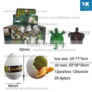 Growing Tortoise Egg Toys Growing Dinosaur Egg Toys thumbnail-1