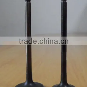 056109601A & 056109611A Engine Valve for Passat thumbnail-1