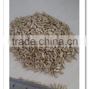 Sunflower Seed Kernels Confectionery Grade thumbnail-1