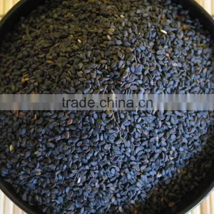 Sesame Seeds thumbnail-1