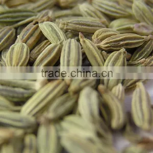 Cumin thumbnail-1
