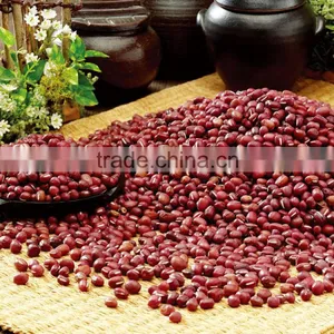 2016 New Crop Chinese Small Red Kidney Beans(Adzuki Beans) thumbnail-1
