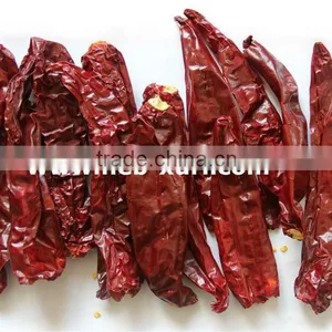 Sweet Paprika Pod thumbnail-1