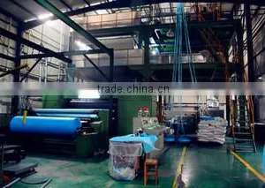 Xinxiang Huaxi Sanitary Materials Co., Ltd. company overview - view 3 thumbnail