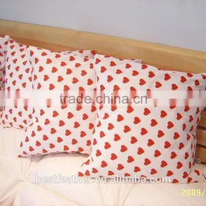 Duck Feather Cushion thumbnail-1