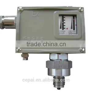D501/7D Explosive-proof Pressure Controller thumbnail-1